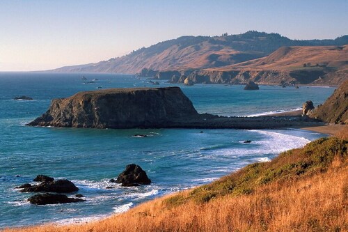Bird Watch @ Land's End with Amazing Views of the Harbor and Pacific Ocean