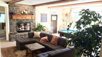 Smart TV, fireplace, books, video library