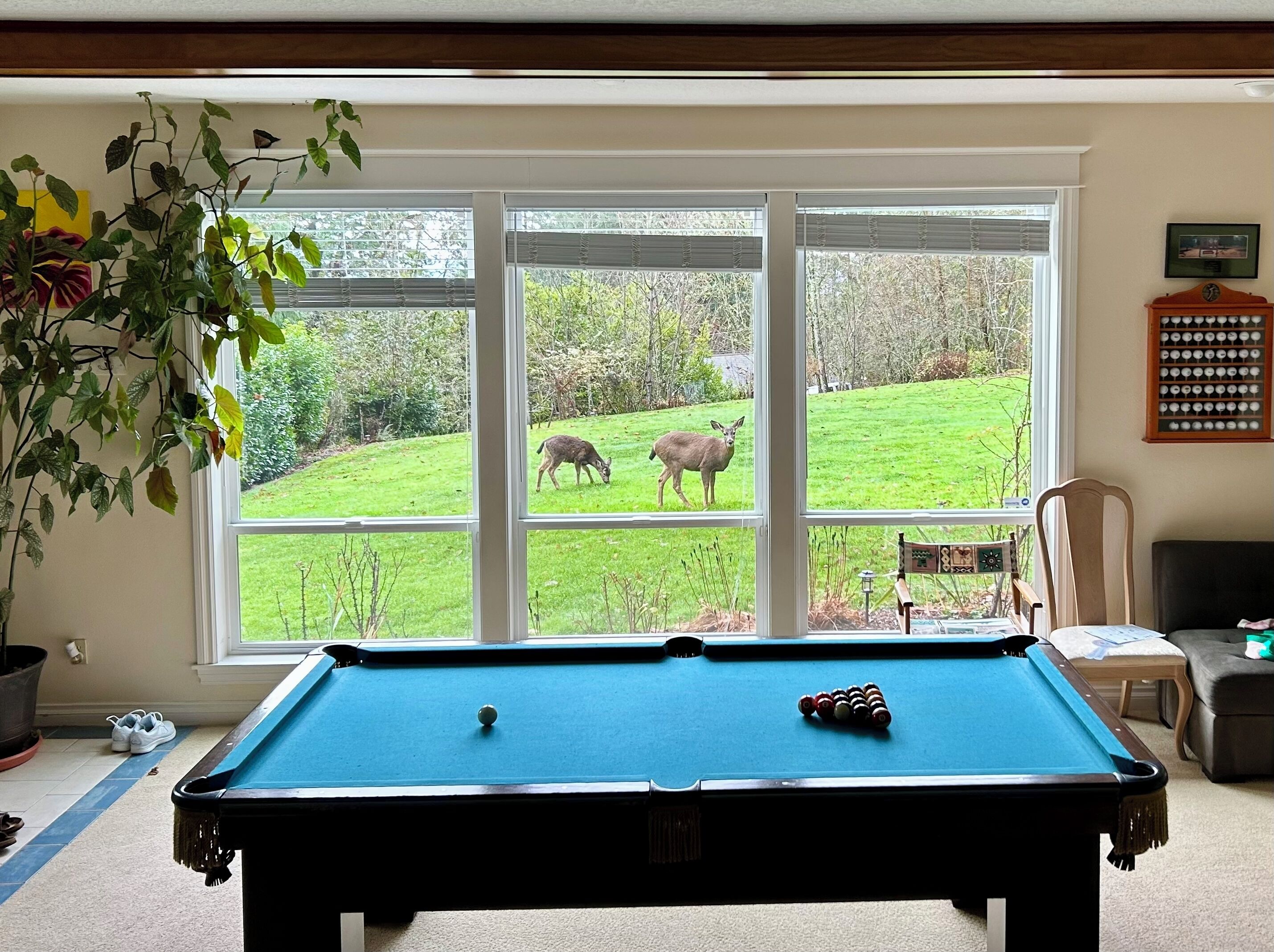 A pool table in a room with large windows overlooking a grassy yard with two deer.