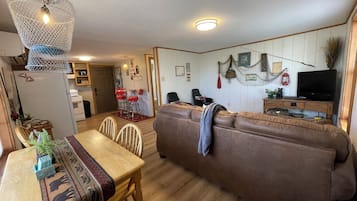 TV, fireplace, DVD player, video library