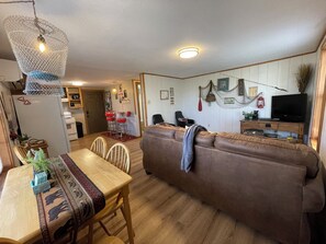 TV, fireplace, DVD player, video library