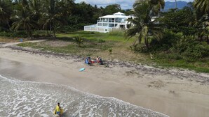 A beach with a house and palm trees.