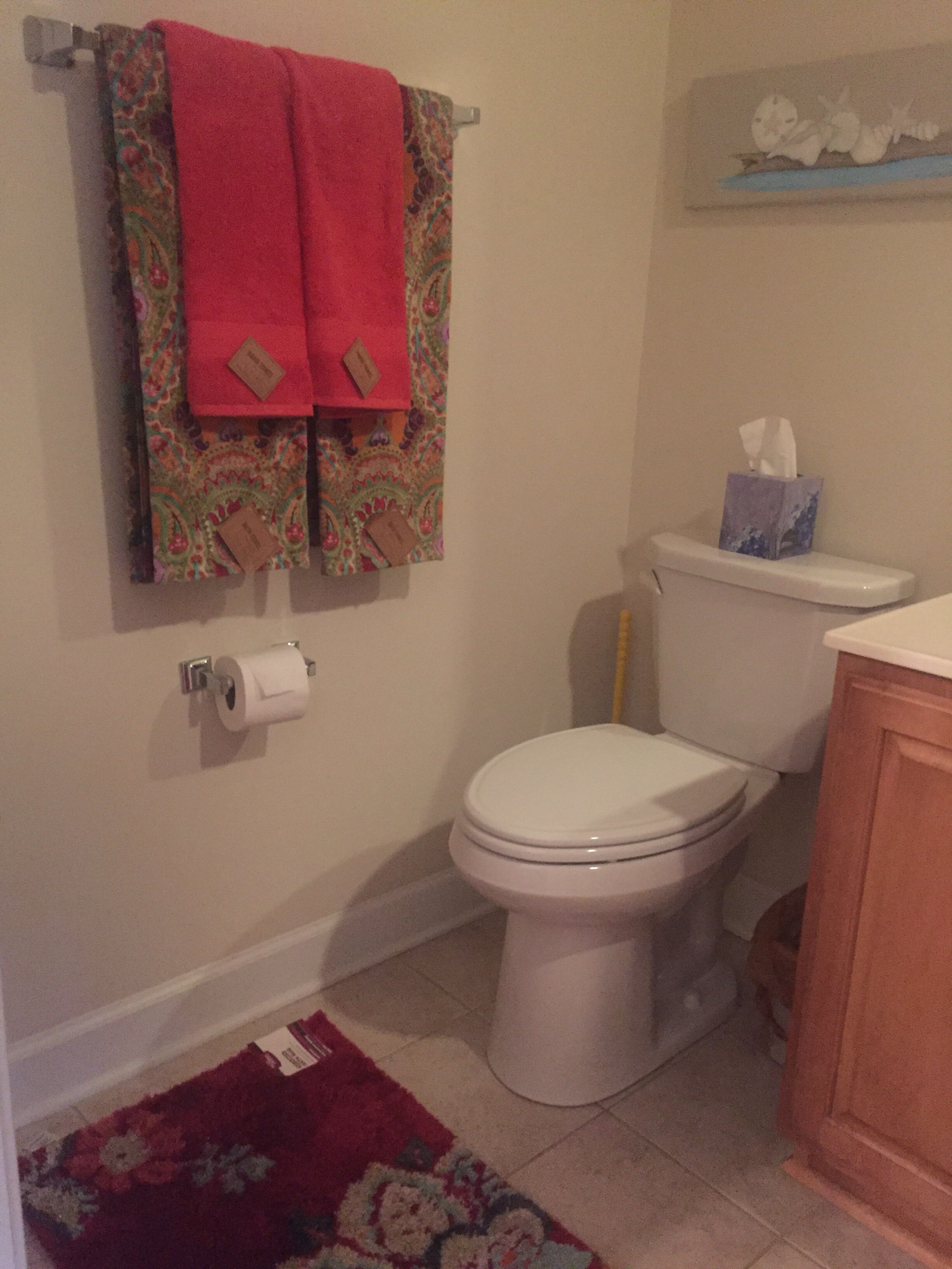 A bathroom with a toilet, a roll of toilet paper, a tissue box, and a patterned rug on the floor.
