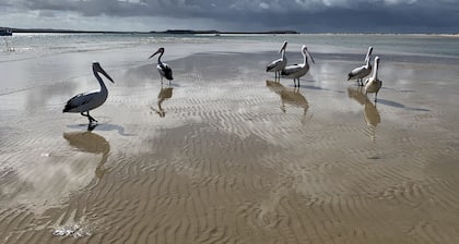 Katrina's Place at South Stradbroke Island Waters
