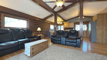 TV connectée, cheminée, lecteur de DVD, livres