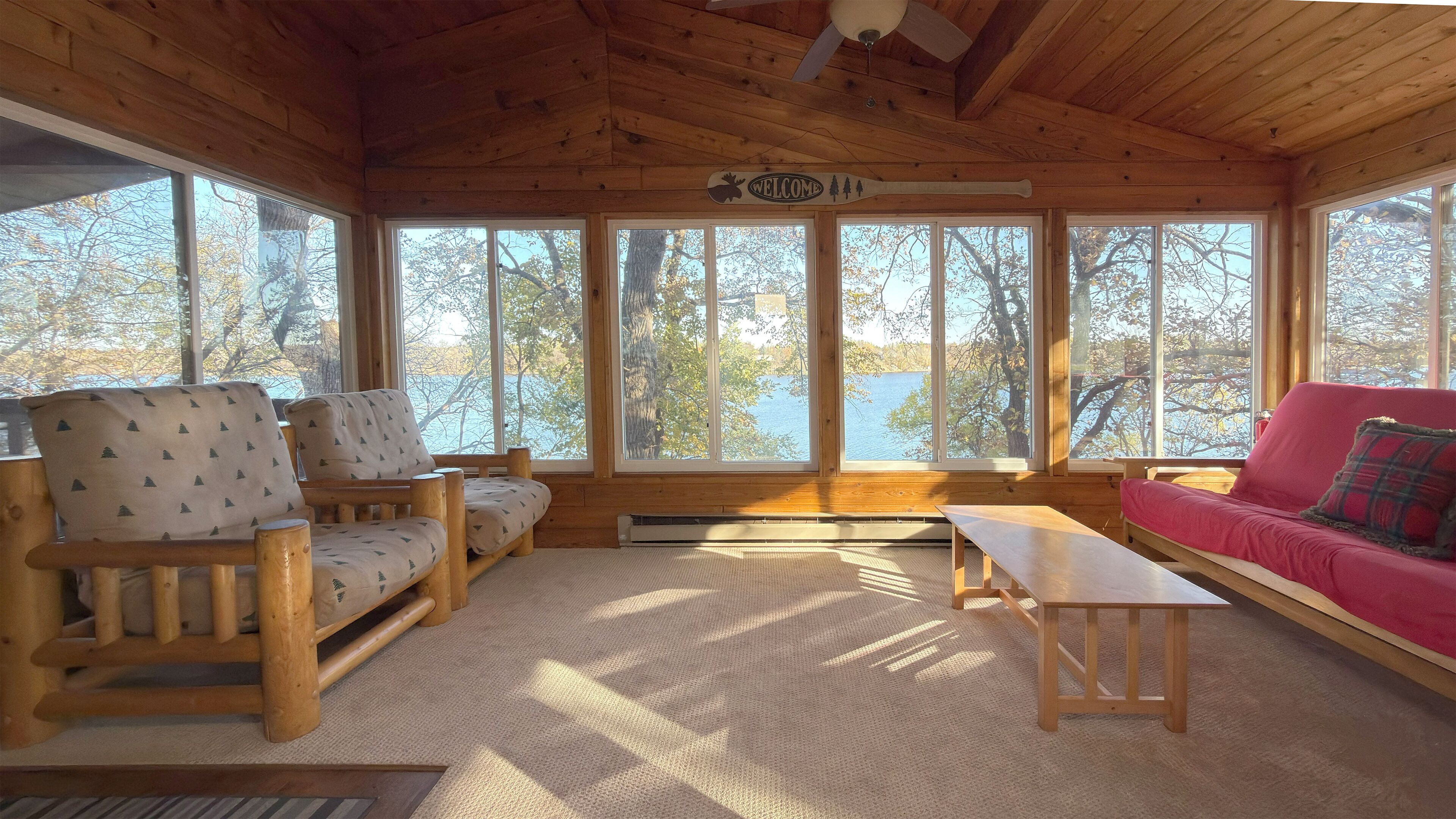 TV connectée, cheminée, lecteur de DVD, livres