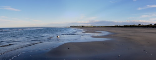 Three bedroom Ohope Beach Paradise