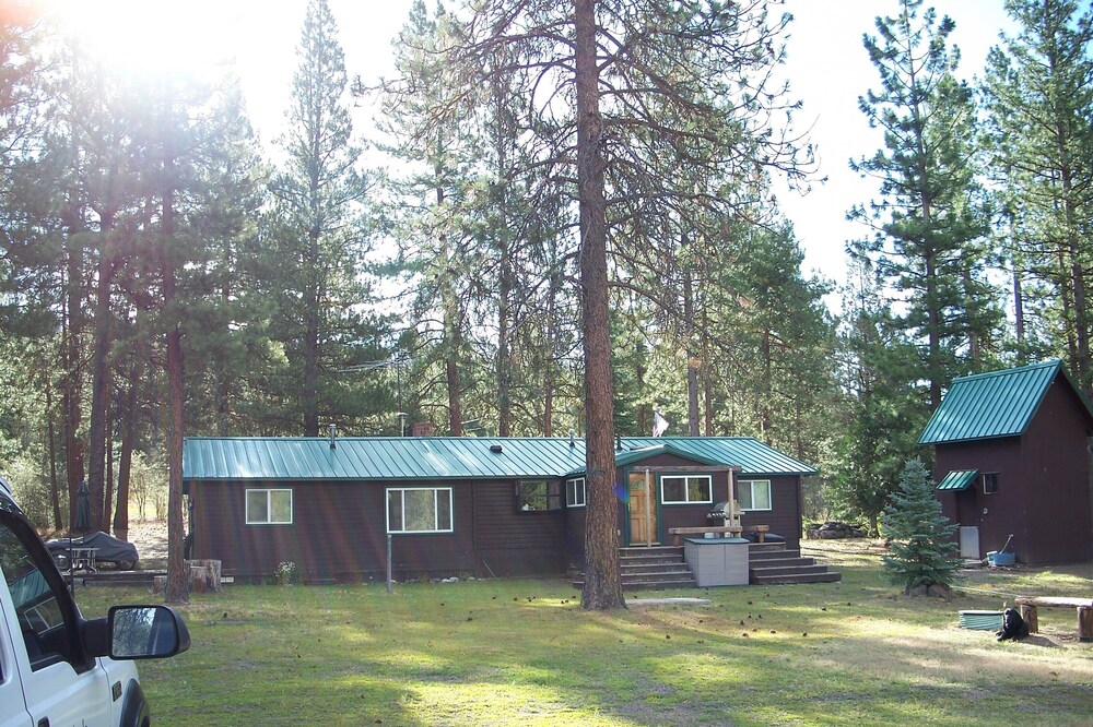 Cedar Cabin nestled in the pines