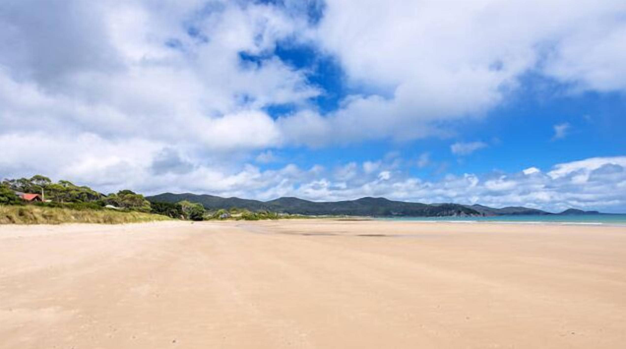 ビーチの近く、ビーチタオル