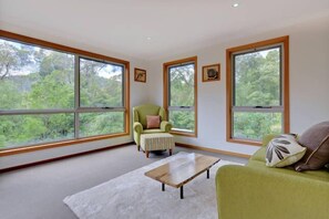 Smart TV, DVD player, books, video library