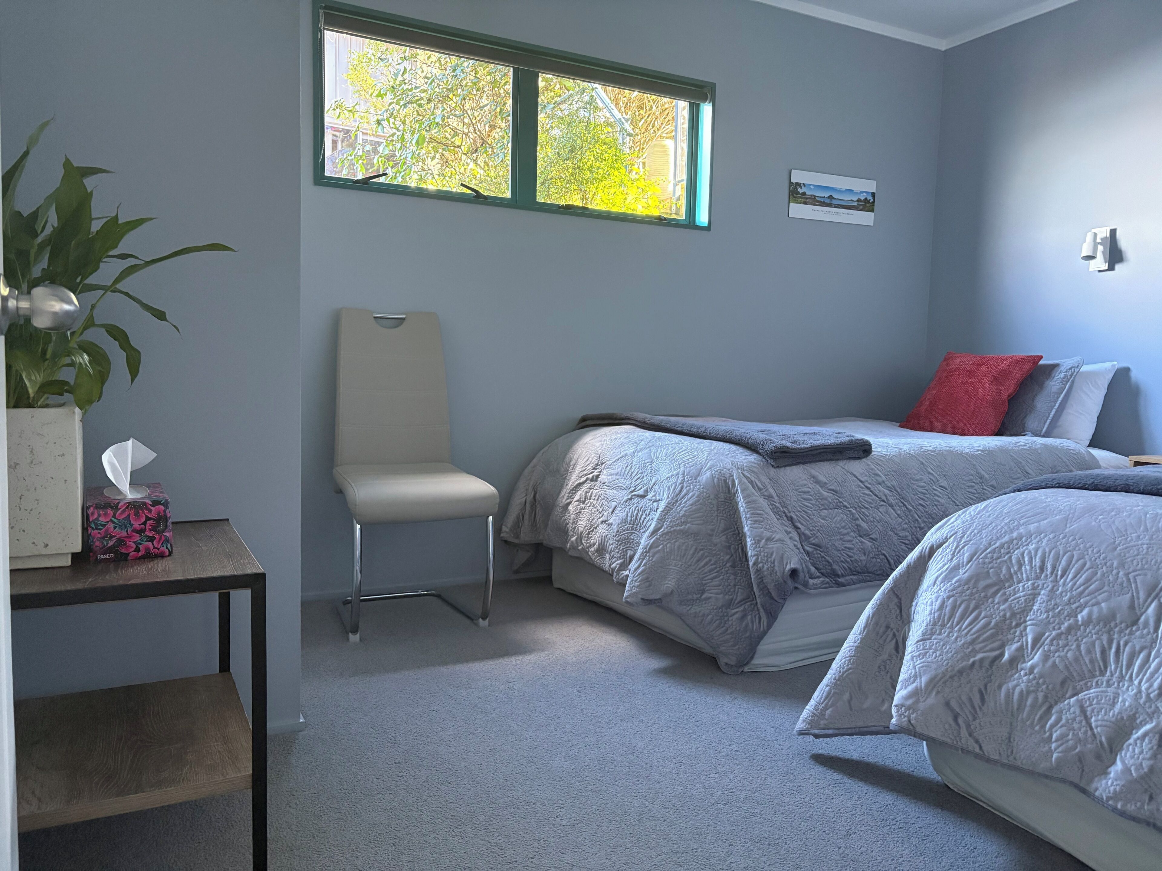 A bedroom with a bed, a chair, a bedside table with a plant and tissues, a window with a view of trees, and a wall-mounted light.