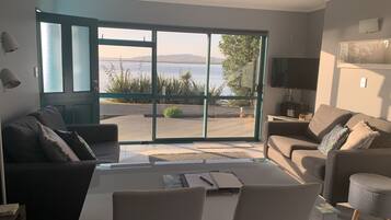 TV, DVD player, books, video library