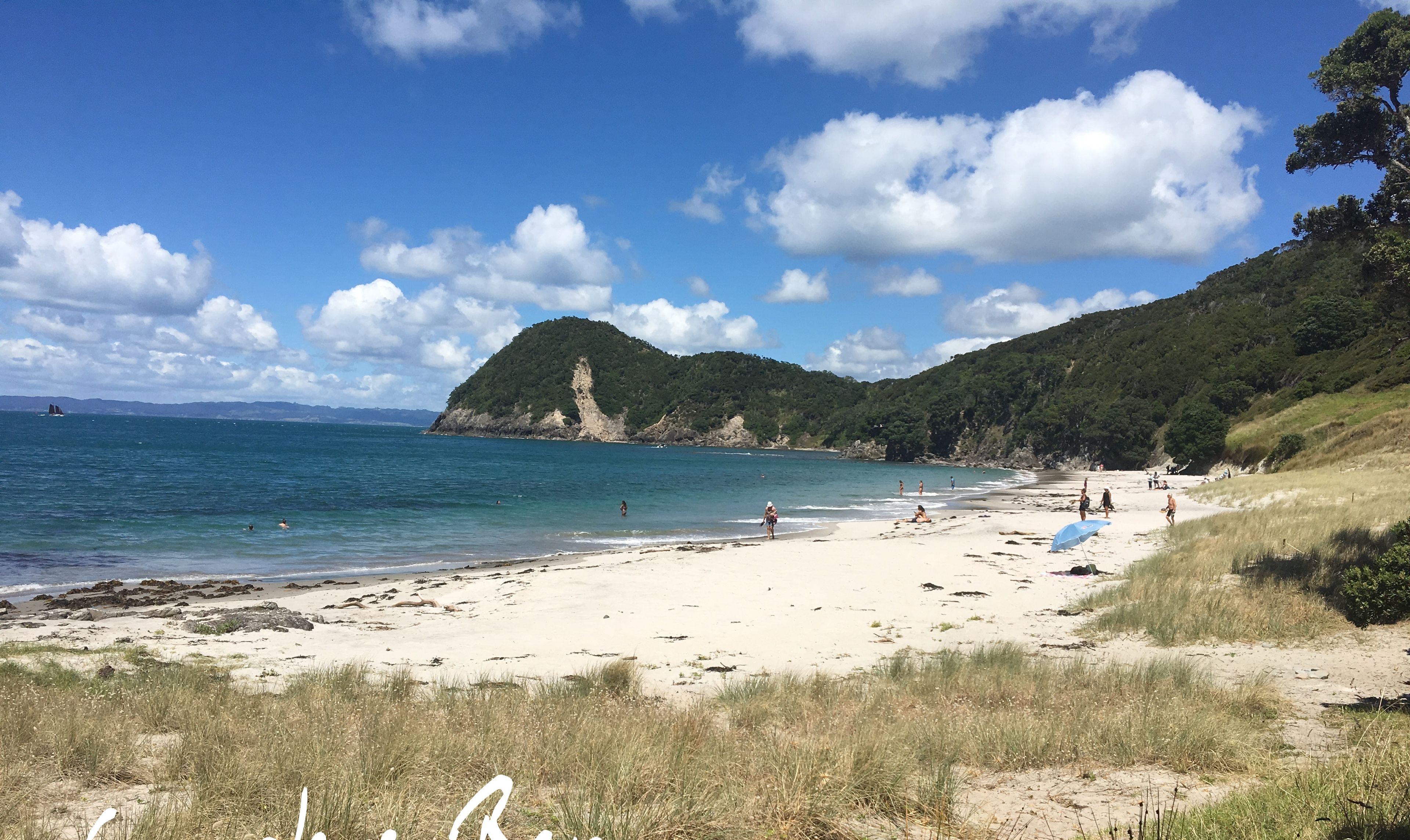 A beach with clear skies, a sandy shore, and a few people enjoying the water.