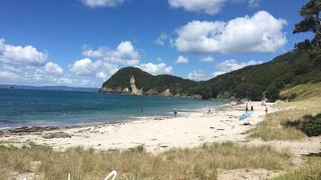 A beach with clear skies, a sandy shore, and a few people enjoying the water.