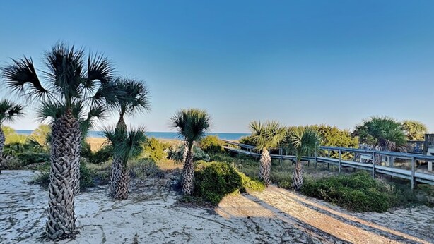 A sandy pathway leading to a beach with palm trees and a clear blue sky. - Beachfront condo w. hot tub + beach access. (Tybee Island)