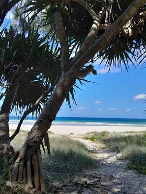 Escena de platja amb palmeres i una vista clara de l'oceà.