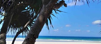 Sea-Chelles Near The Beach