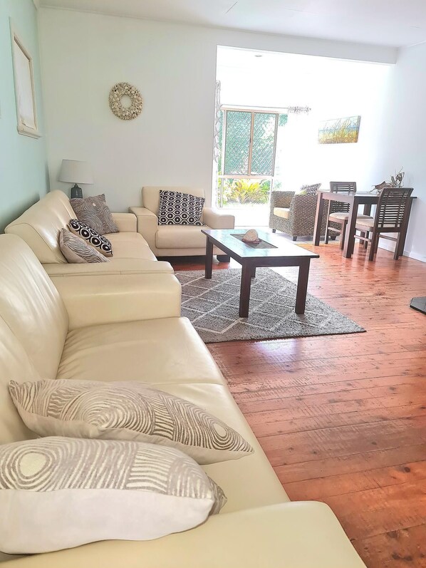 Télévision, cheminée, lecteur de DVD, livres