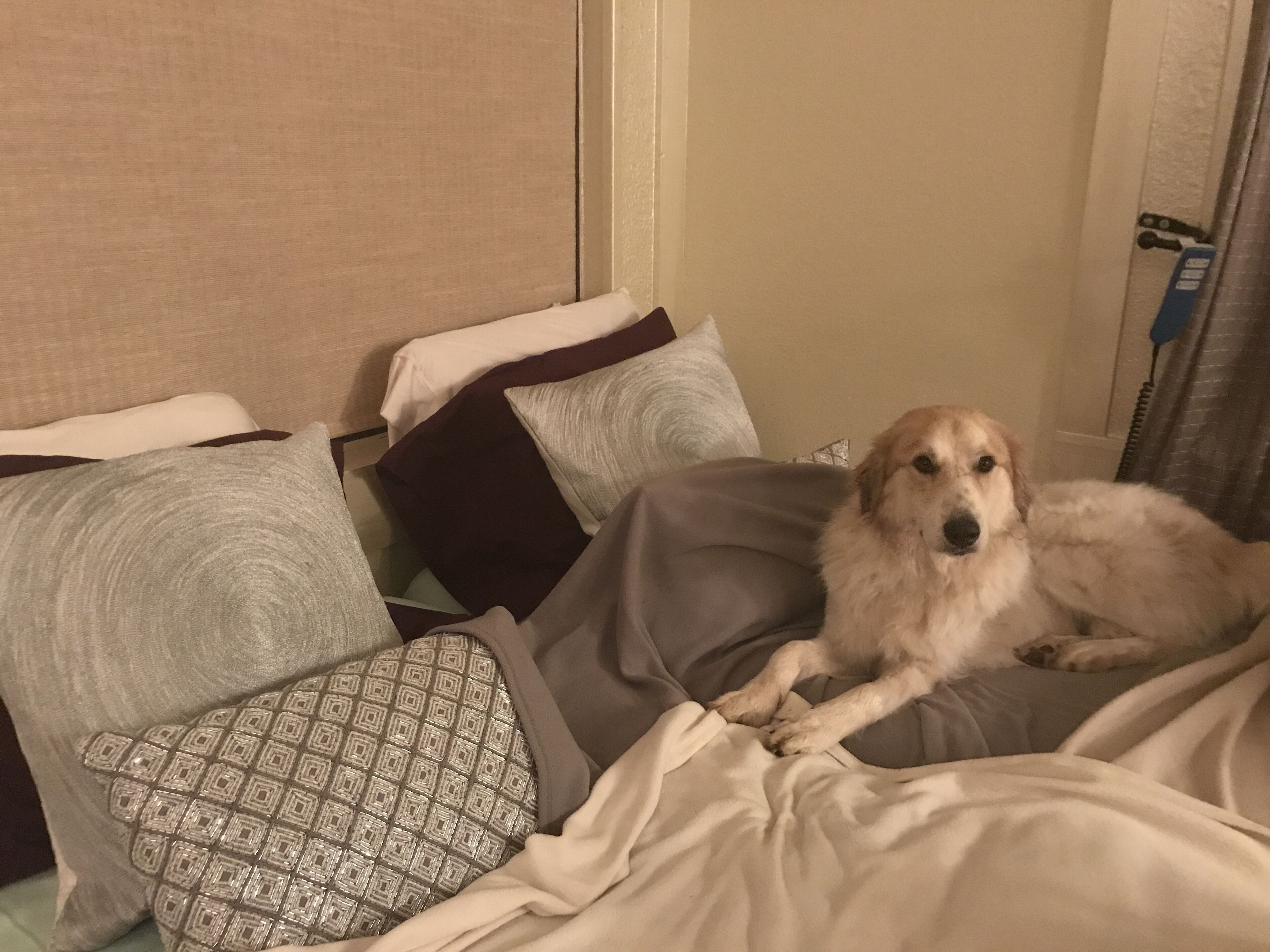 Fishing Cabin, Romantic Getaways, BnB, Family, Pets, Weddings, Party, Rendezvous