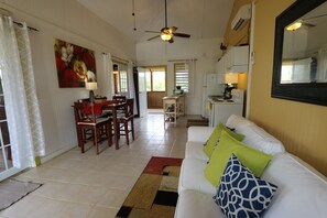 TV, DVD player, books, stereo