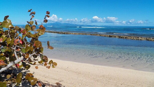 A beach with clear water, a rocky shoreline, and a distant mountain range. - Beautiful,Sandy Beach! 50 steps to the BEACH! Winter dates available book now! (Villa Borquien)