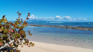 Beach | On the beach, sun loungers, beach towels