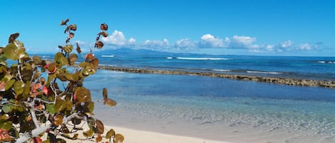 Plage, chaises longues, serviettes de plage