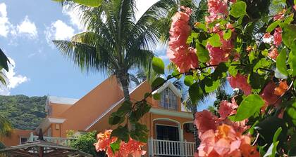 The Tourelle Paradise big pool Ministry Tourism Price for 7 pers