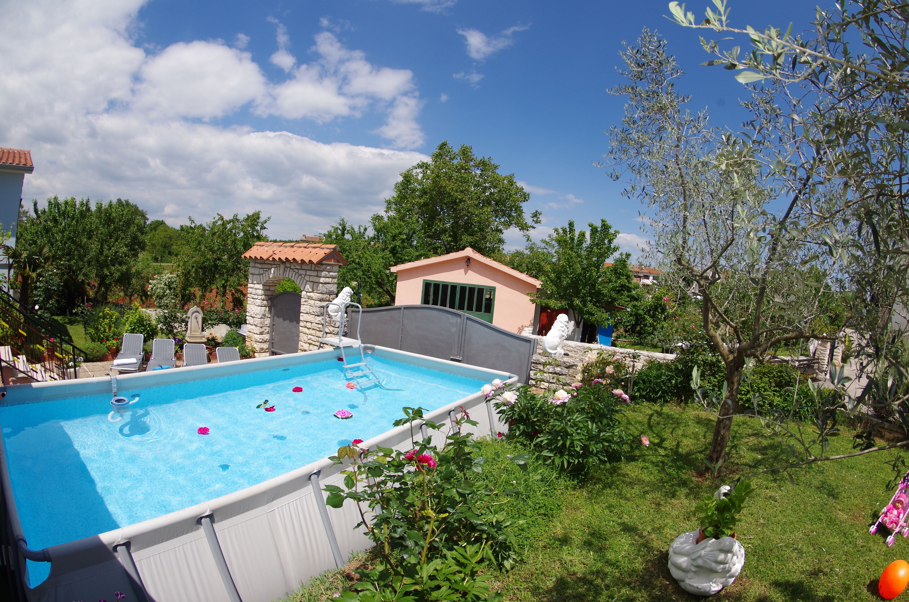 A backyard with a swimming pool, surrounded by greenery and a small building.