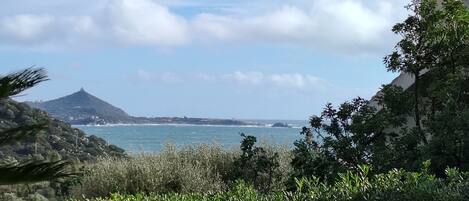 Vista desde la propiedad