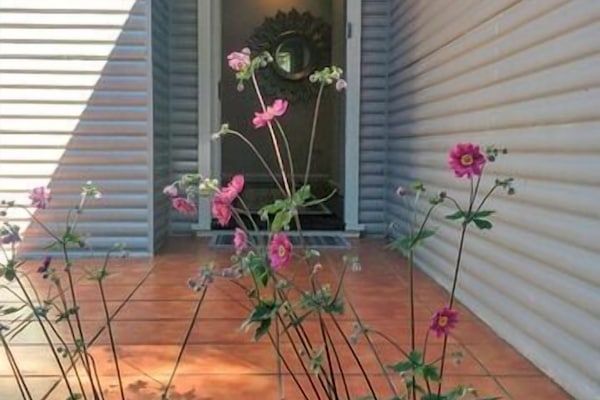 Details aan de buitenkant