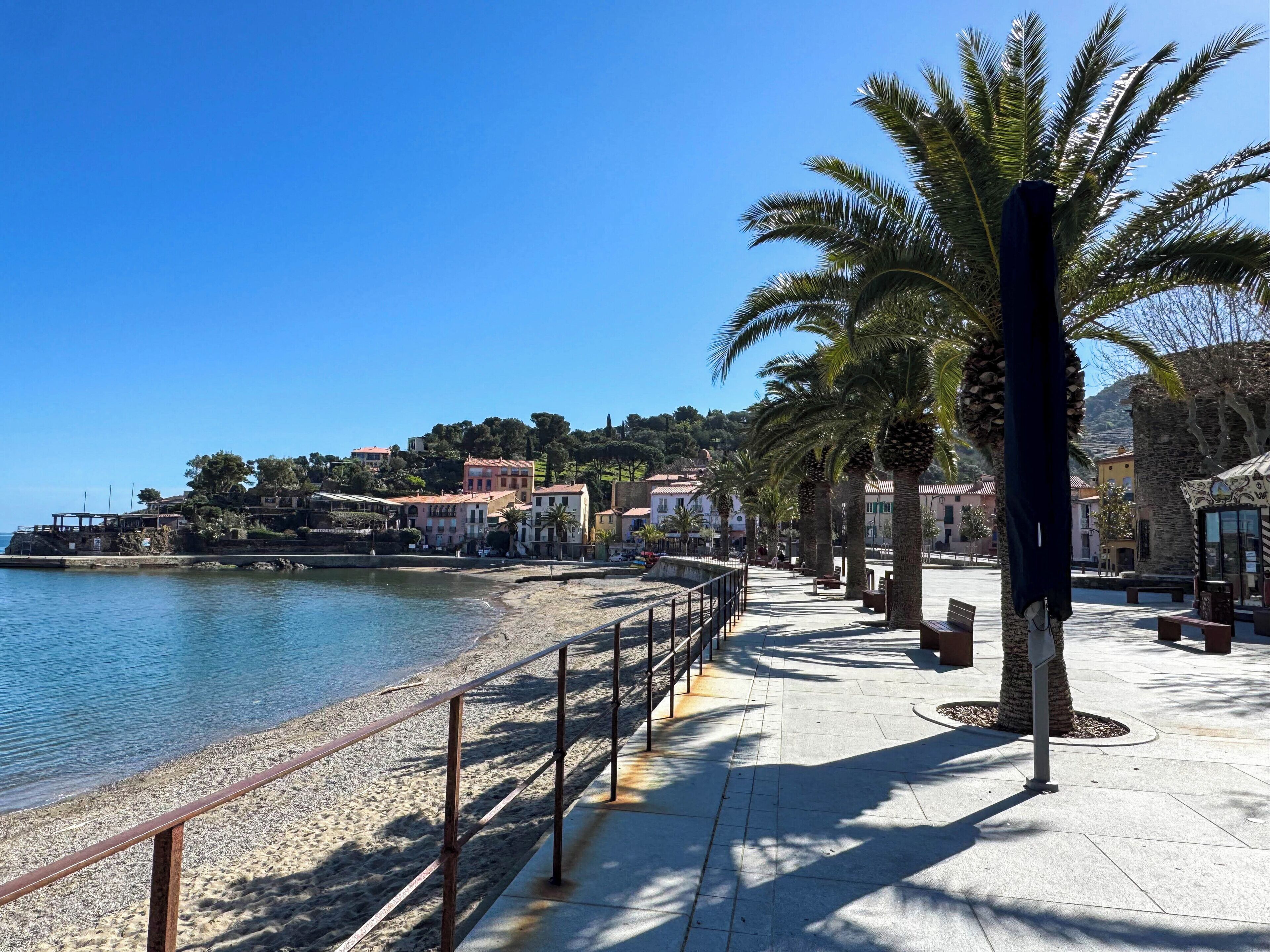 Une promenade en bord de mer, avec une plage, des palmiers et des bâtiments en arrière-plan.
