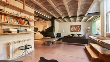 TV, fireplace, DVD player, books