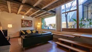 TV, fireplace, DVD player, books