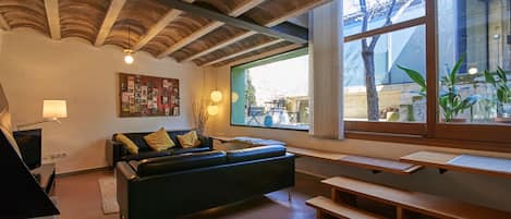 Televisión, chimenea, reproductor de DVD y libros