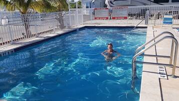 A swimming pool with a person in the water, surrounded by a white fence and palm trees.