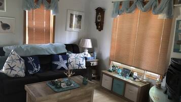 Smart TV, fireplace, DVD player