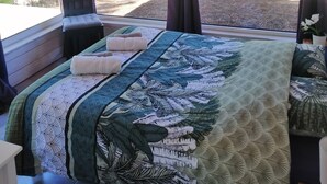 A bedroom with a large bed, a window with curtains, and a view of trees outside. - Vacation home under the pines (moliets et maa)