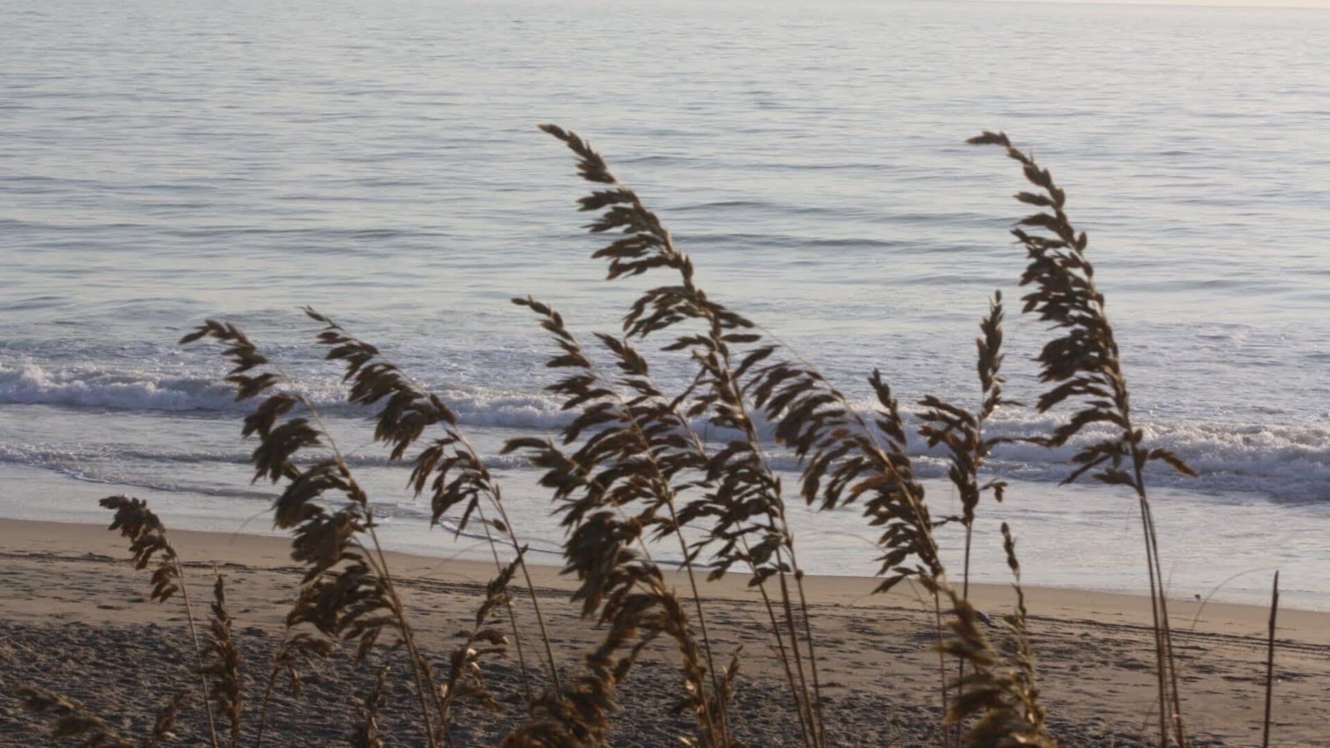 Sea Breezes North - Just Steps To The Beach!