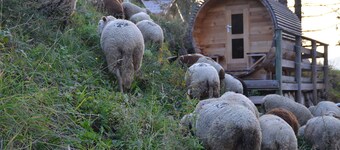  La Plagne / Les Coches Ski-in / Ski-out chalet on the slopes, free wifi and sauna !!
