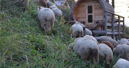 La Plagne / Les Coches Ski-in / Ski-out chalet en las pistas, wifi gratuito y sauna !!