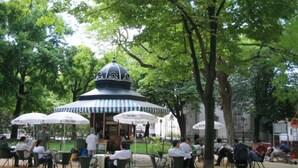 Um café ao ar livre com mesas e guarda-sóis, rodeado por árvores.