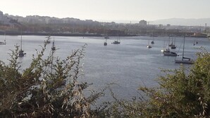 En lystbådehavn med flere både fortøjet i rolige farvande, med en by silhuet i baggrunden.