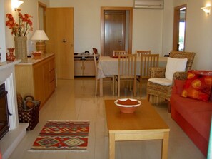 Télévision, cheminée, lecteur de DVD, livres