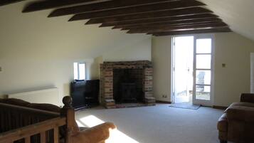 Smart TV, fireplace, DVD player, books