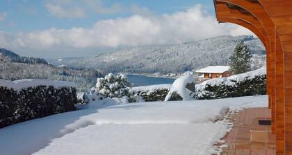 chalet - Gerardmer