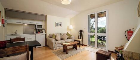 Fireplace, DVD player, books, stereo