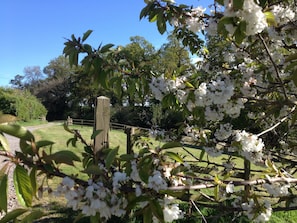 Private lane to the Farm