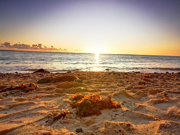 بالقرب من الشاطئ