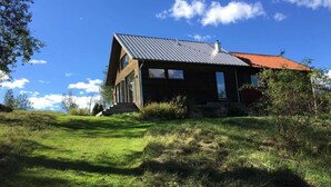 Uklassifisert bilde, 3 av 45, knapp
